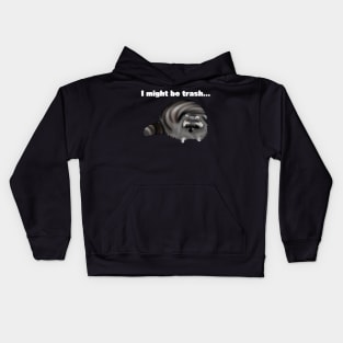 "I might be trash" Racoon Kids Hoodie